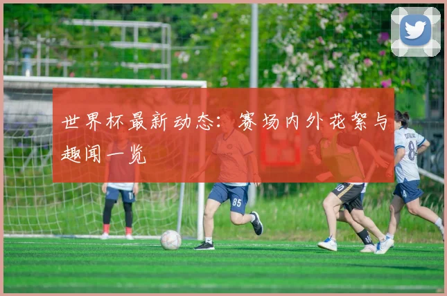 世界杯最新动态：赛场内外花絮与趣闻一览