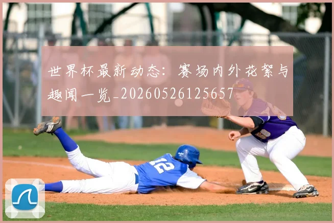 世界杯最新动态：赛场内外花絮与趣闻一览_20260526125657