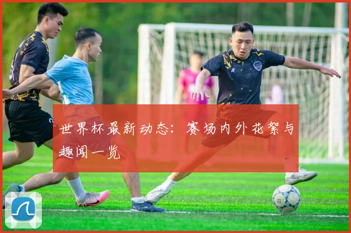 世界杯最新动态：赛场内外花絮与趣闻一览