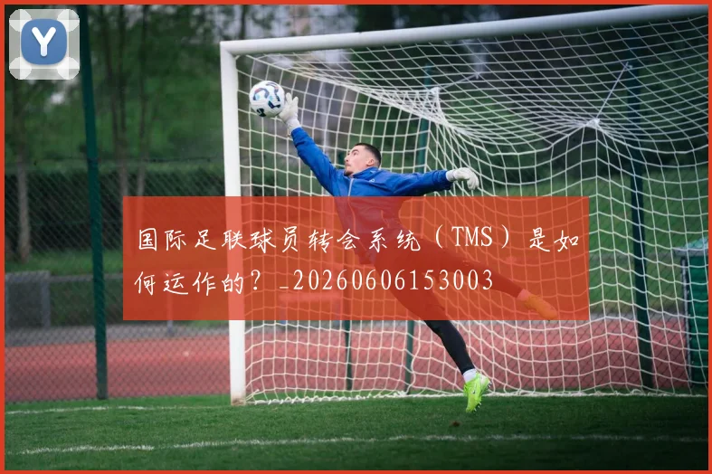 国际足联球员转会系统(TMS)是如何运作的?_20260606153003